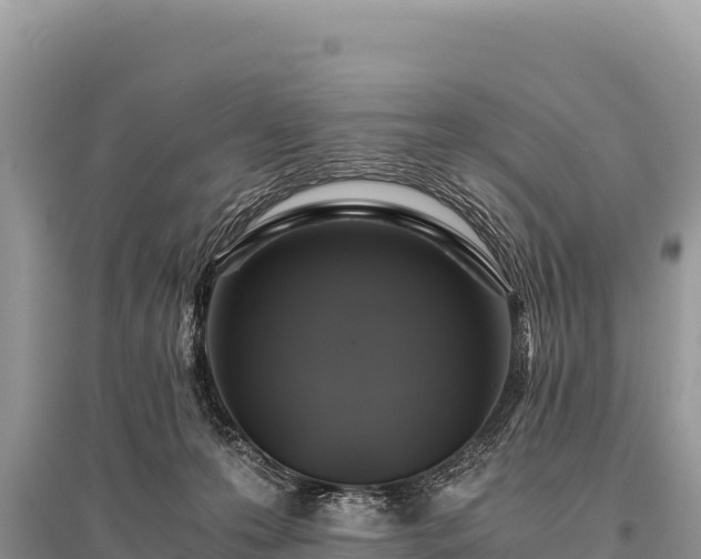 X0000096180223200801251224