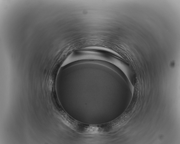 X0000096180227200801251224