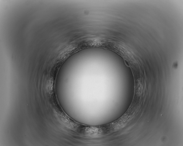 X0000096180230200801251224