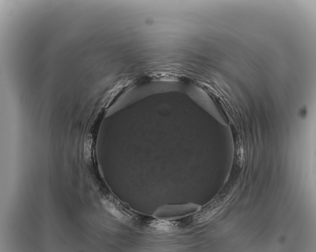 X0000096180231200801251223