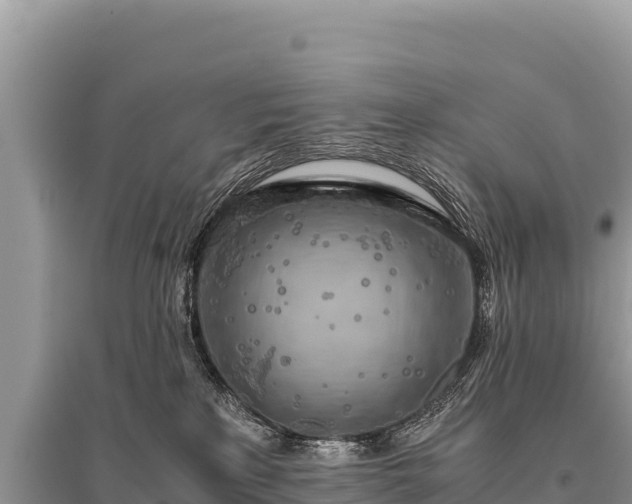 X0000096180233200801251223