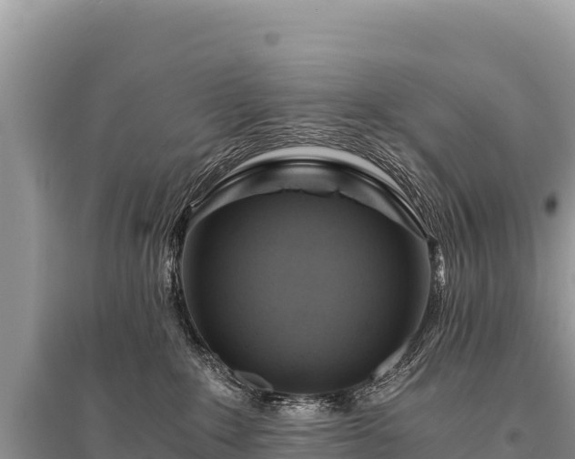 X0000096180235200801251223