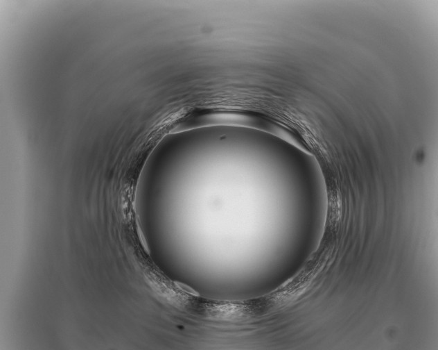 X0000096180237200801251223