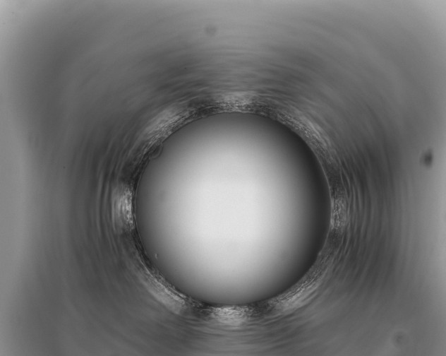 X0000096180238200801251223