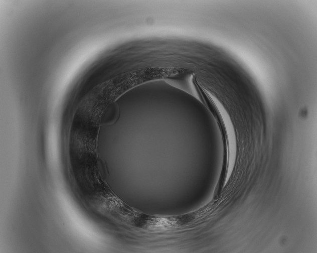 X0000096180239200801251223