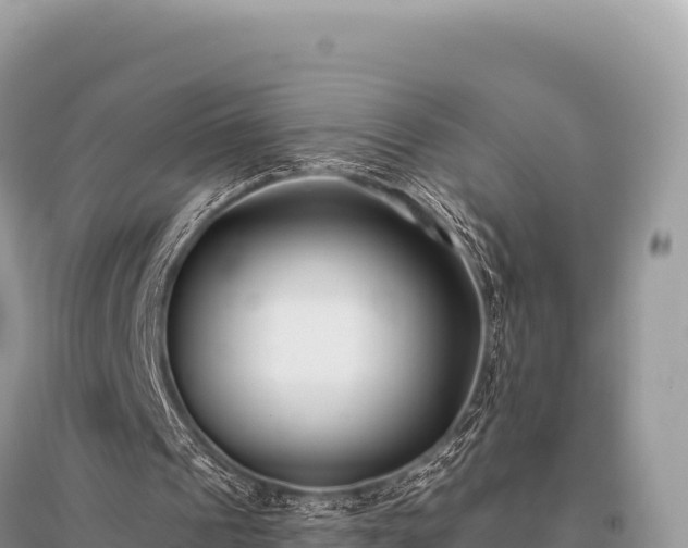 X0000096180241200801251223