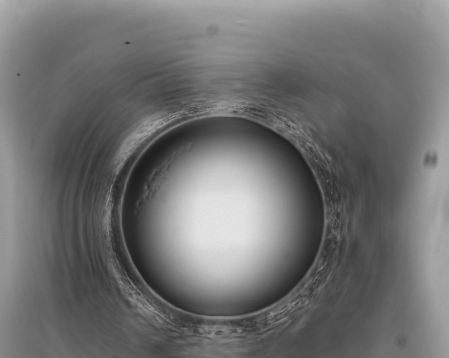 X0000096180242200801251223