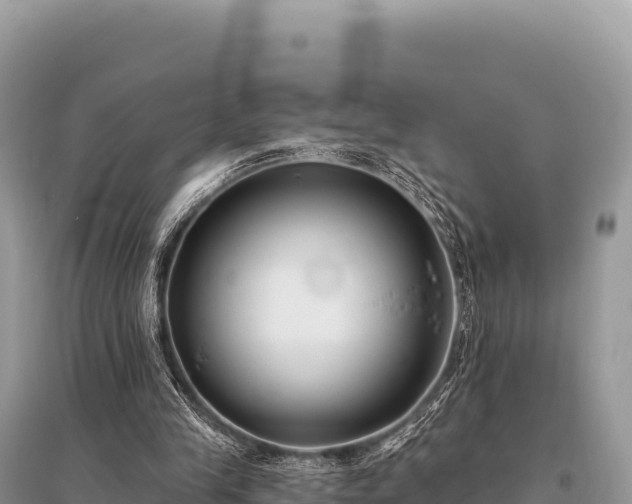 X0000096180245200801251223