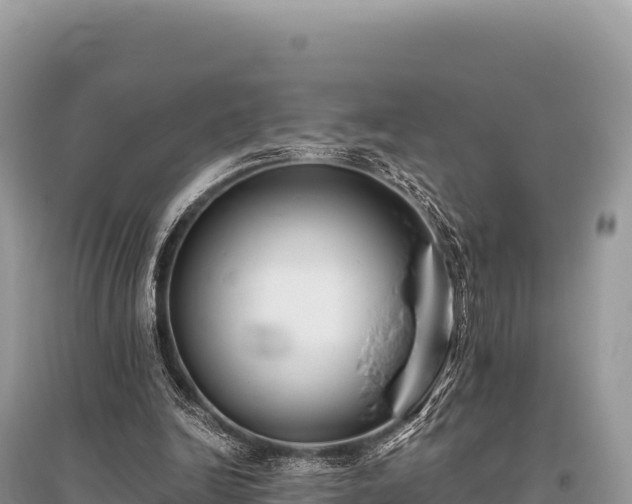 X0000096180246200801251223
