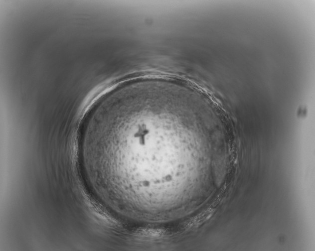 X0000096180247200801251223