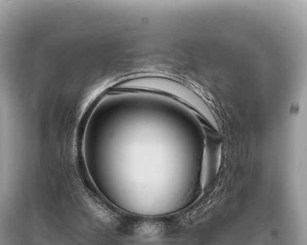 X0000096180248200801251223