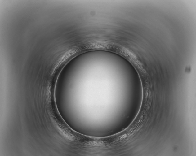 X0000096180250200801251223