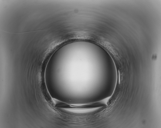 X0000096180252200801251223