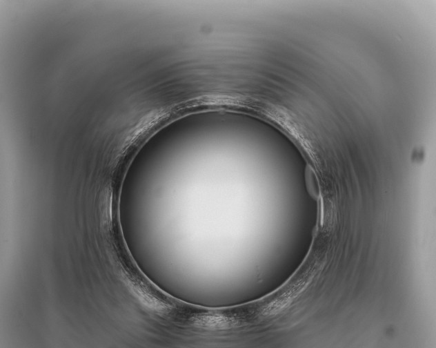 X0000096180253200801251223