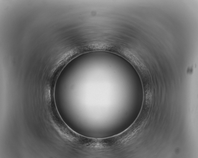 X0000096180254200801251223