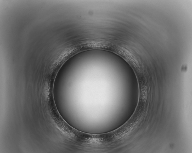X0000096180255200801251223