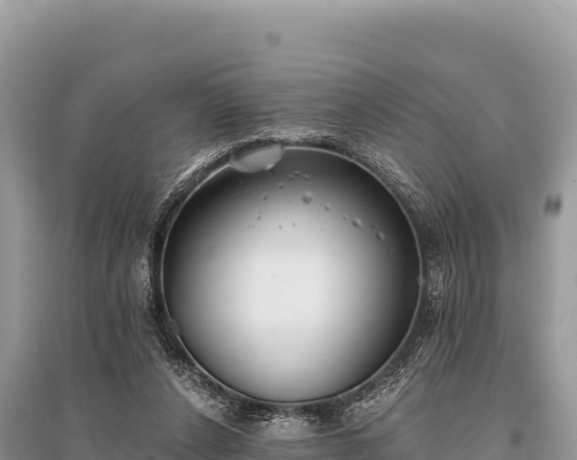 X0000096180256200801251223