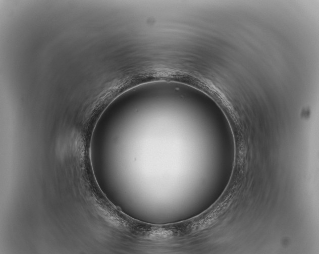 X0000096180257200801251223
