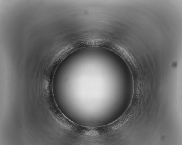 X0000096180258200801251223