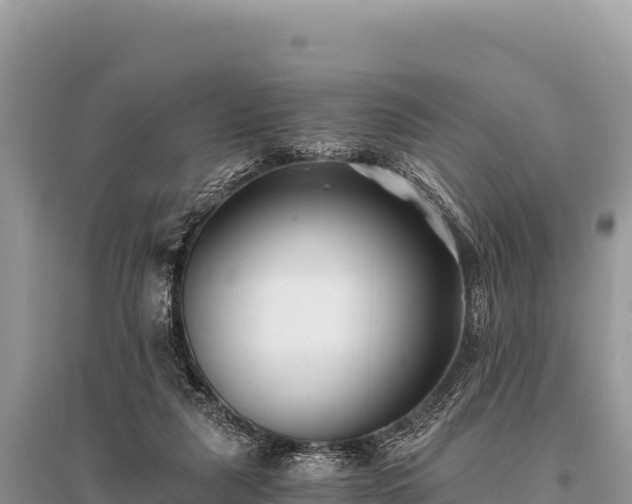 X0000096180259200801251223