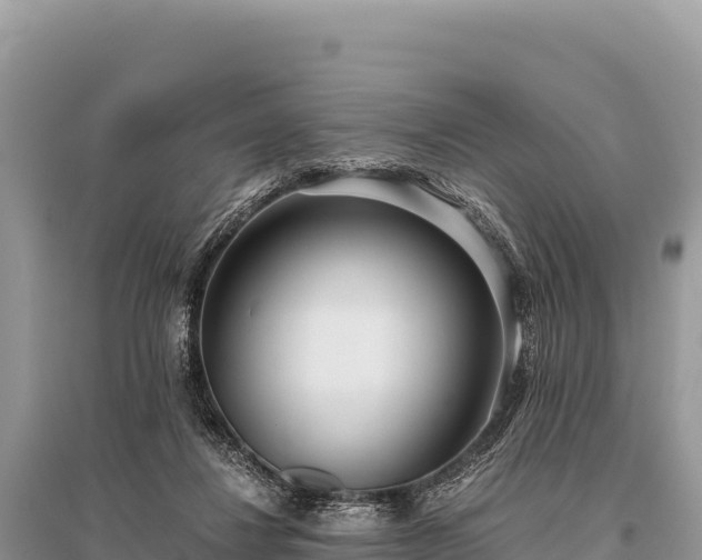 X0000096180260200801251223