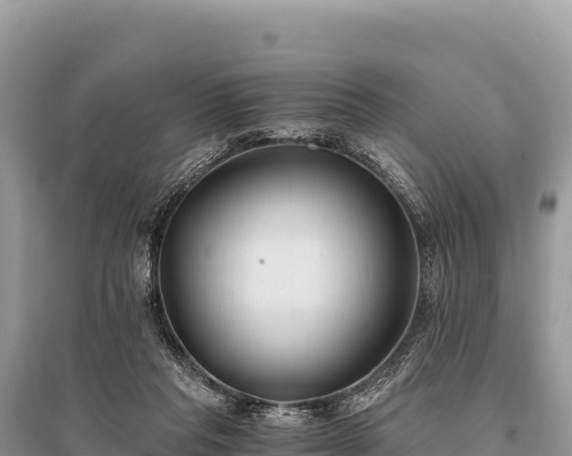 X0000096180261200801251223