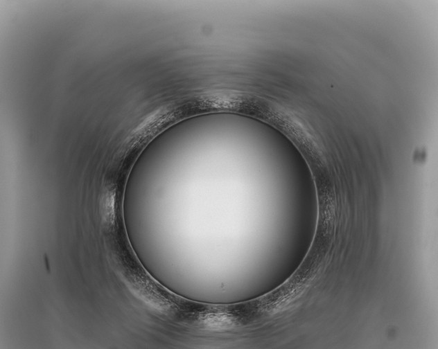 X0000096180262200801251223