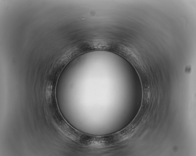 X0000096180263200801251223
