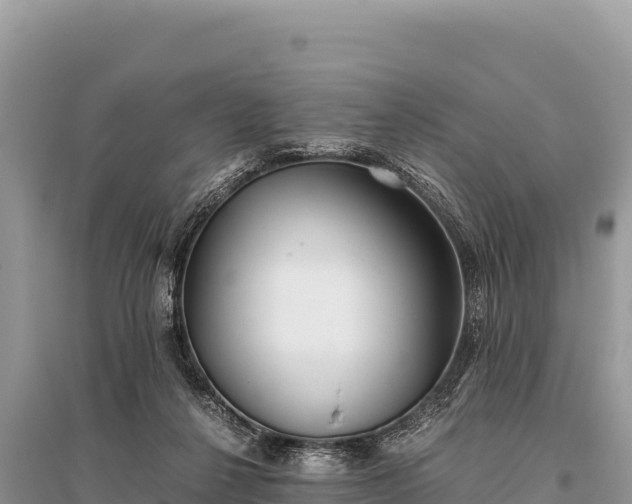 X0000096180264200801251223