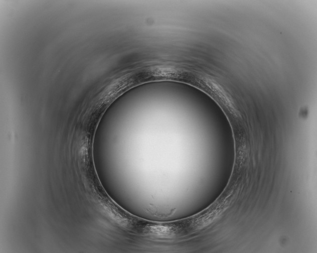 X0000096180265200801251223