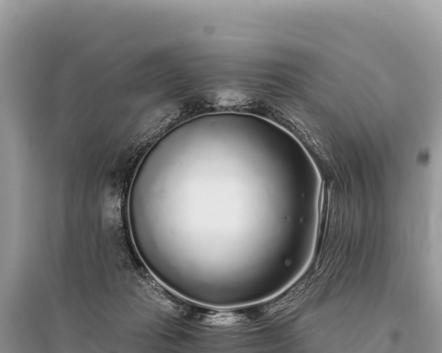 X0000096180269200801251223