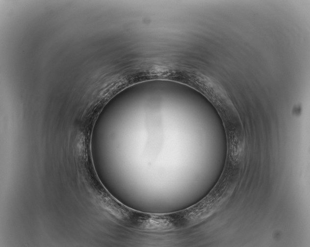 X0000096180270200801251223