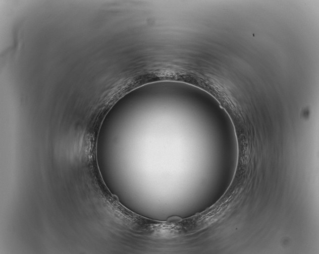 X0000096180273200801251223