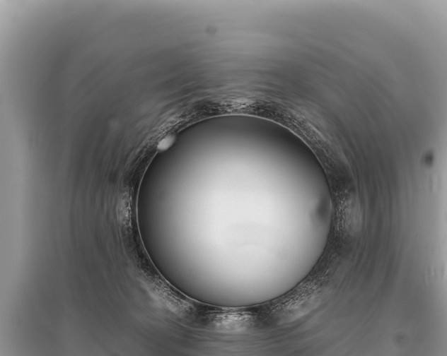 X0000096180274200801251223