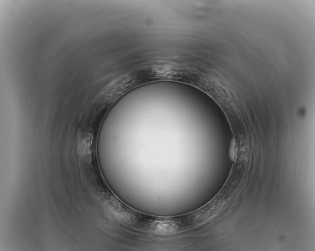 X0000096180275200801251223