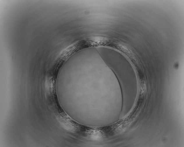 X0000096180276200801251223