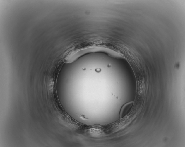 X0000096180279200801251223