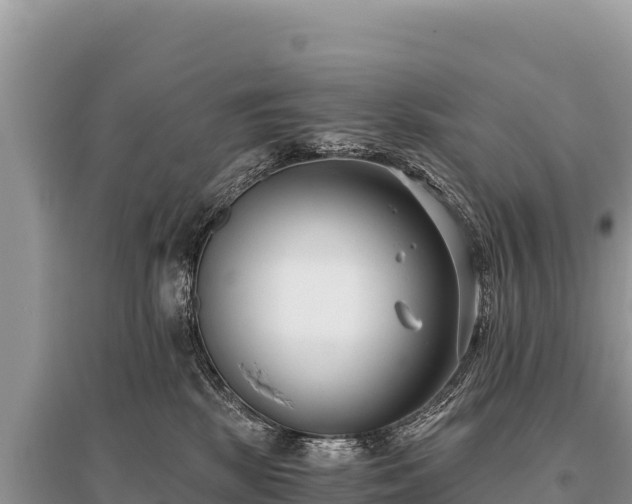 X0000096180281200801251223