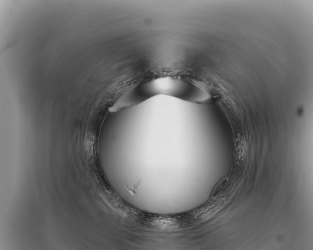 X0000096180283200801251223