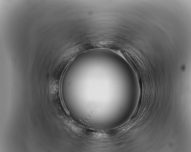 X0000096180284200801251223