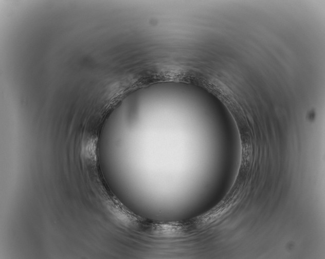 X0000096180286200801251223