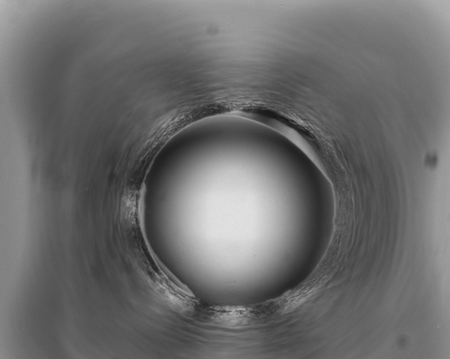 X0000096180288200801251223