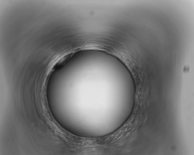 X0000096180289200801251223