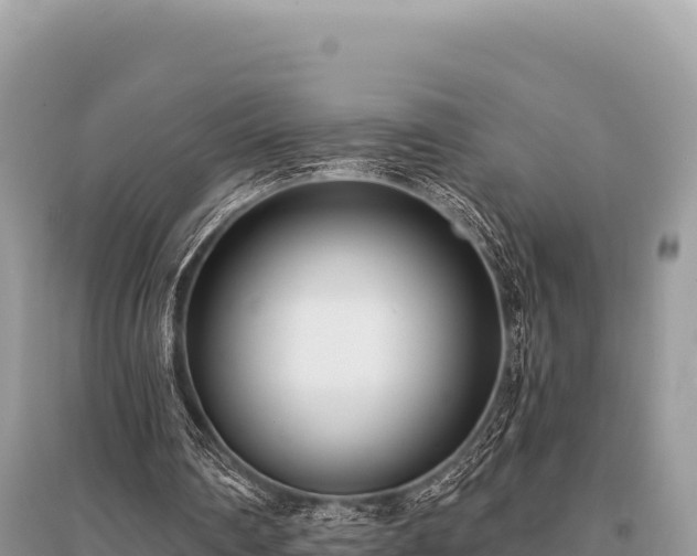 X0000096180290200801251223