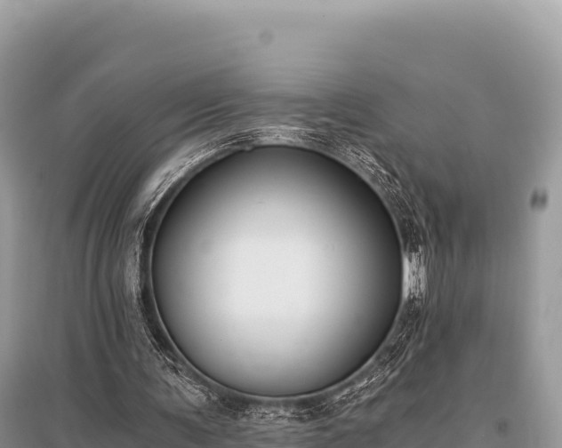 X0000096180291200801251223