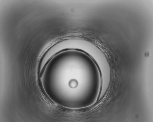 X0000096180293200801251223