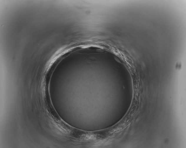 X0000096180295200801251223