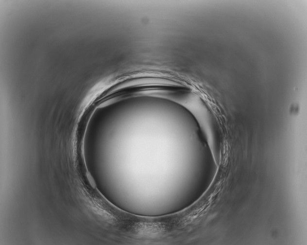 X0000096180296200801251223
