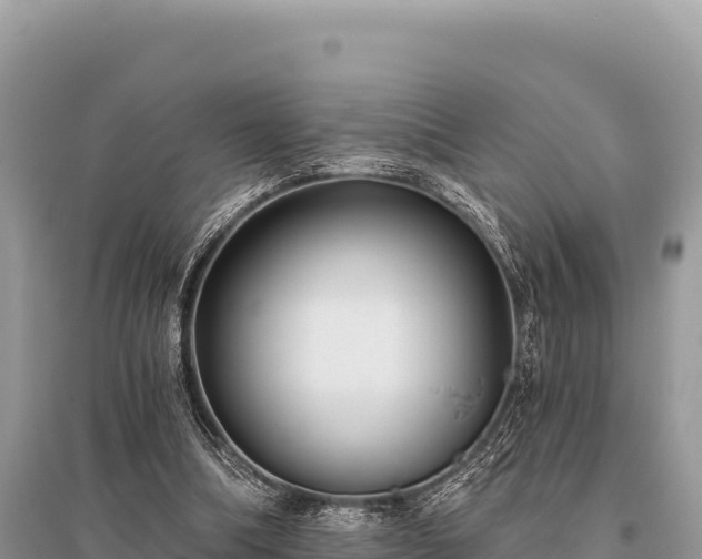 X0000096180298200801251222