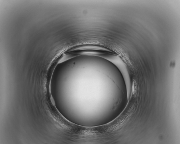 X0000096180300200801251222